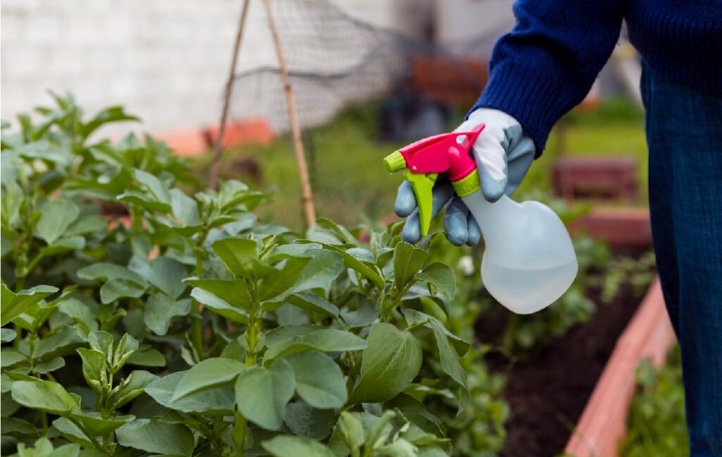 HERBICIDE