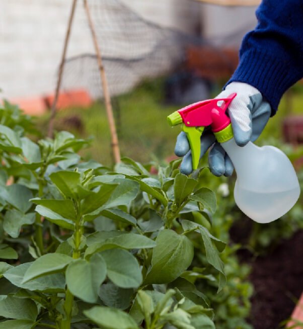 HERBICIDE
