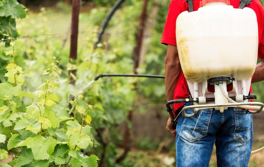 fungicides