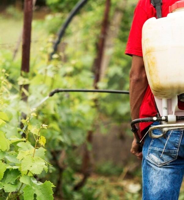 fungicides