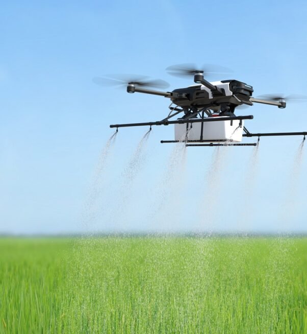 Drone spraying fertilizer on vegetable green plants, Agriculture technology, Farm automation. 3D illustration