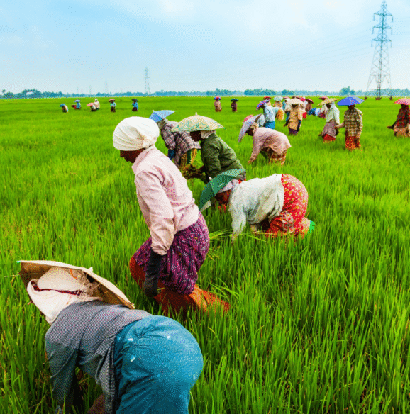 Farmer-Centric Support