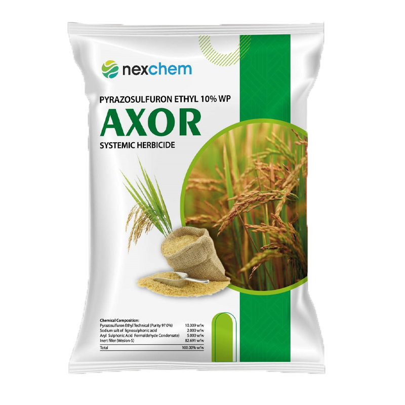 AXOR