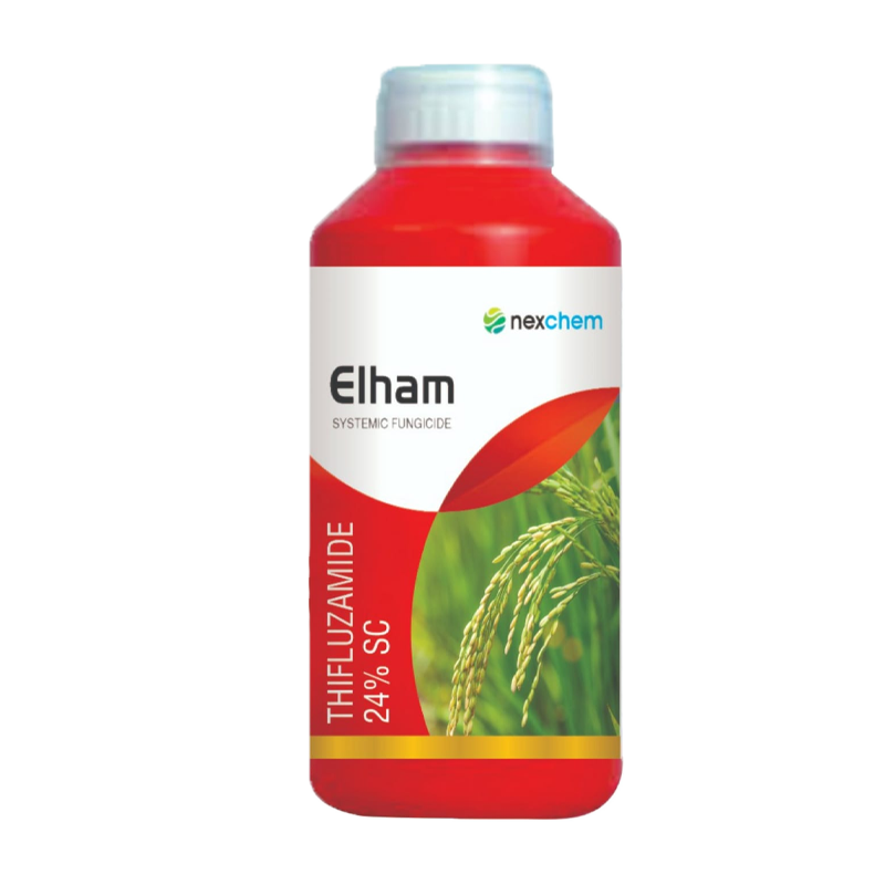 ELHAM