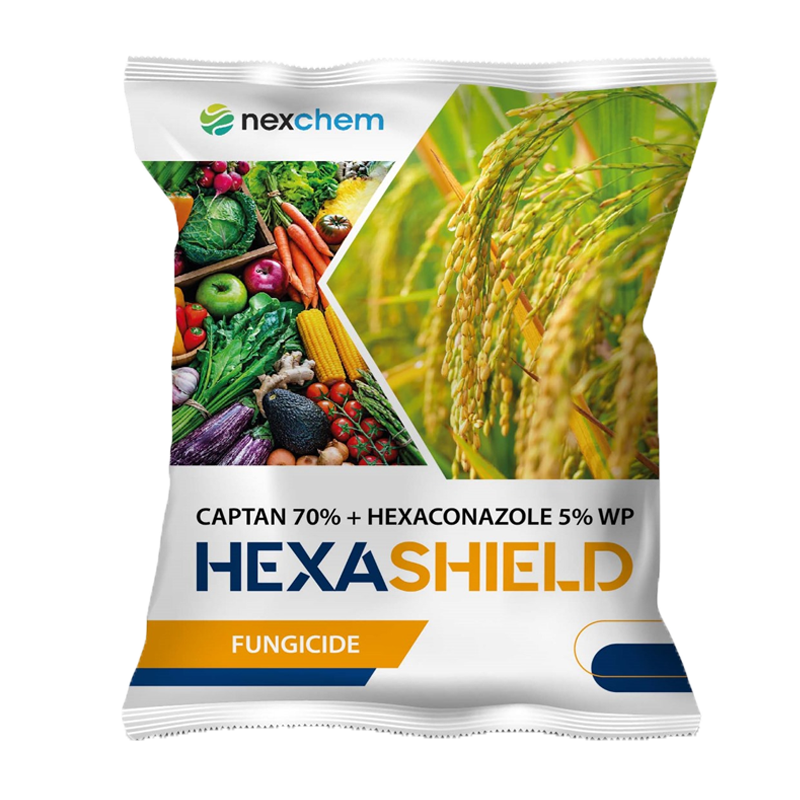 HEXASHIELD