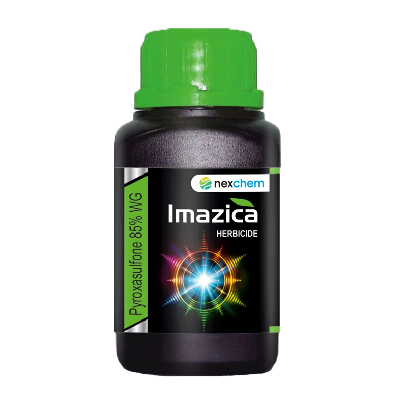 IMAZICA