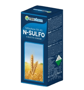 WhatsApp_Image_2025-11-26_at_6.16.10_PM-removebg-preview