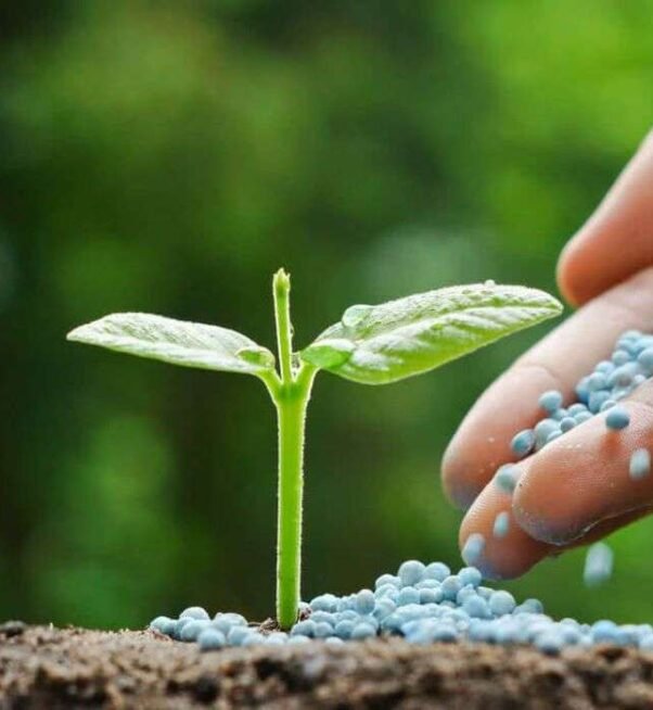 Zn1qjK8JMweyPhTNgrFvBigzOtuAjyniPrJ3L8E6